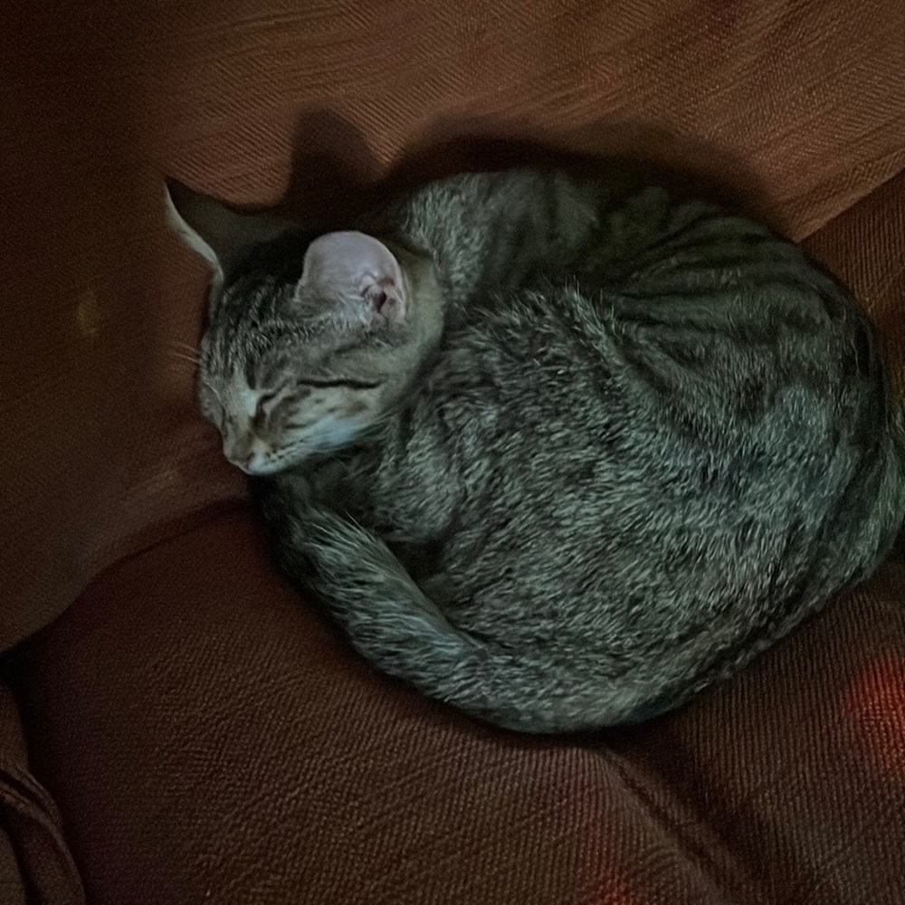 Our new baby